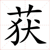 获字字形图片