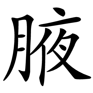 腋字字形图片