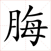 脢字字形图片