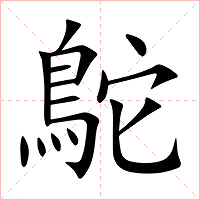 鴕字字形图片