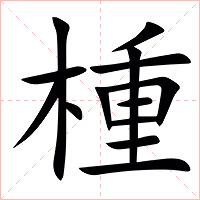 㮔字字形图片