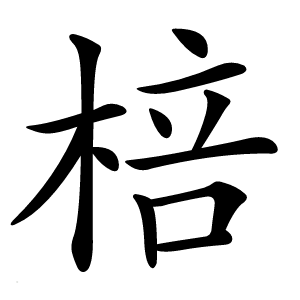 棓字字形图片