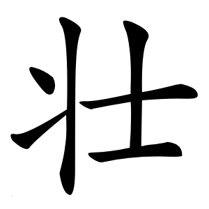 壮字字形