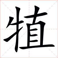 犆字字形