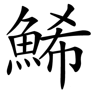 鯑字字形图片