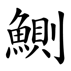 鰂字字形图片