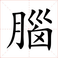 腦字字形图片