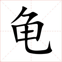 龟字字形图片