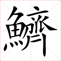 鱭字字形图片