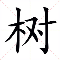 树字字形图片