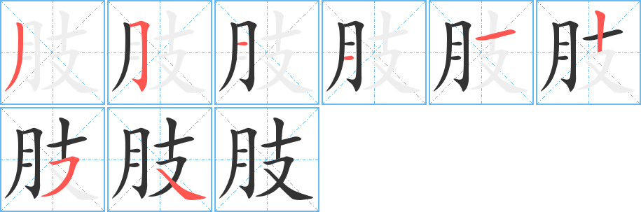 肢字完整笔顺步骤图