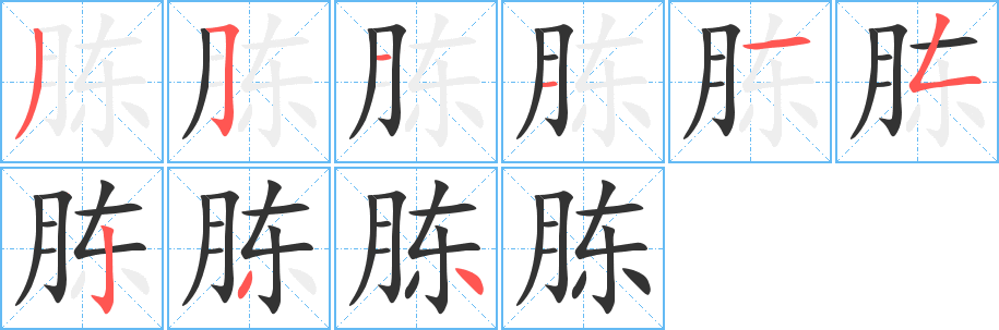 胨字完整笔顺步骤图