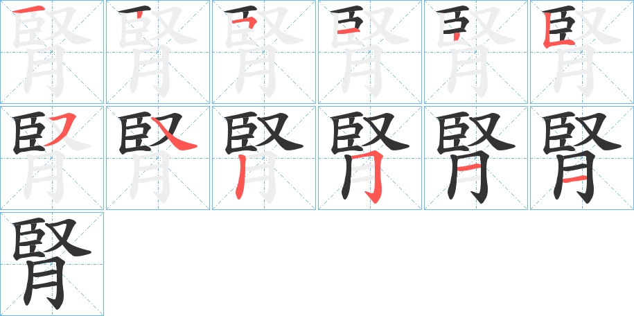 腎字完整笔顺步骤图
