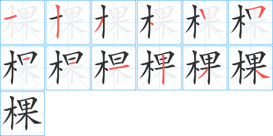 棵字完整笔顺步骤图