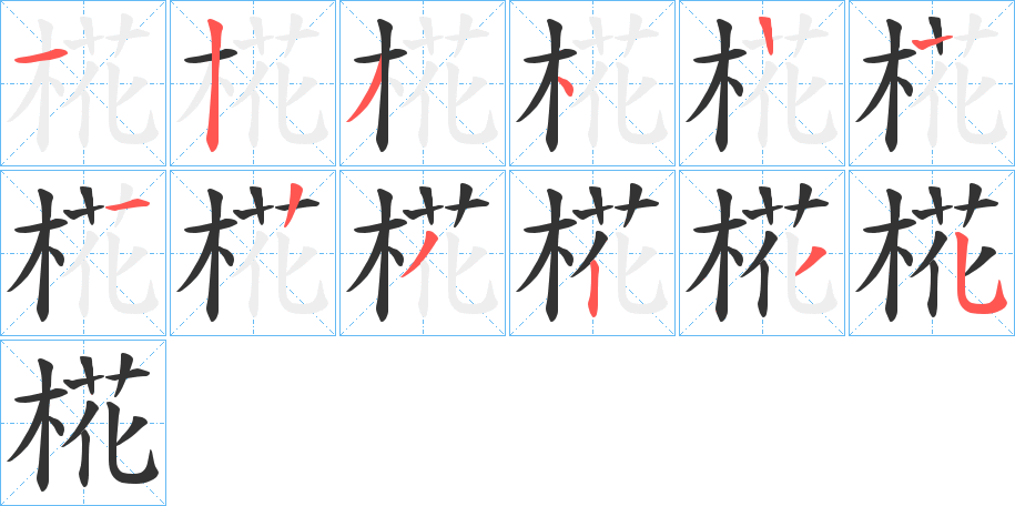 椛字完整笔顺步骤图
