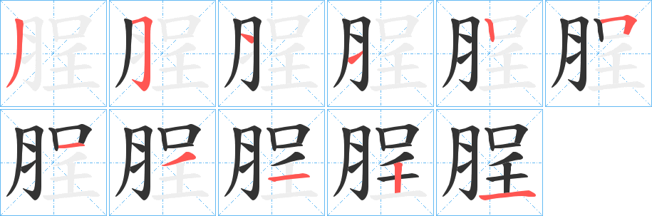 脭字笔顺步骤