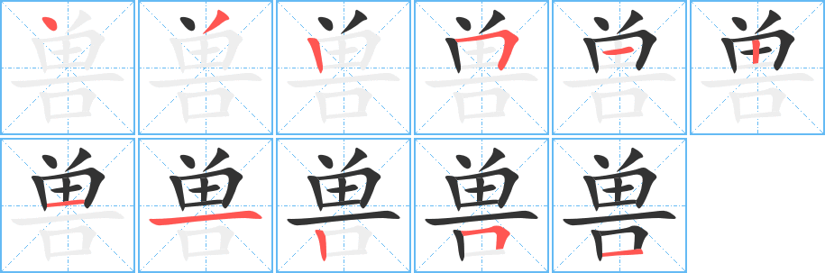 兽字完整笔顺步骤图