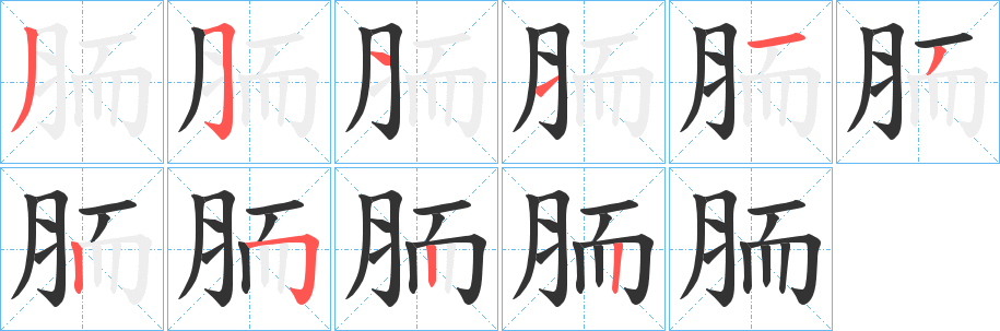 胹字笔顺步骤
