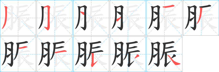脤字笔顺步骤
