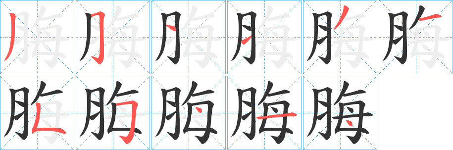 脢字完整笔顺步骤图