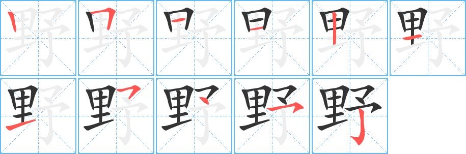 野字完整笔顺步骤图