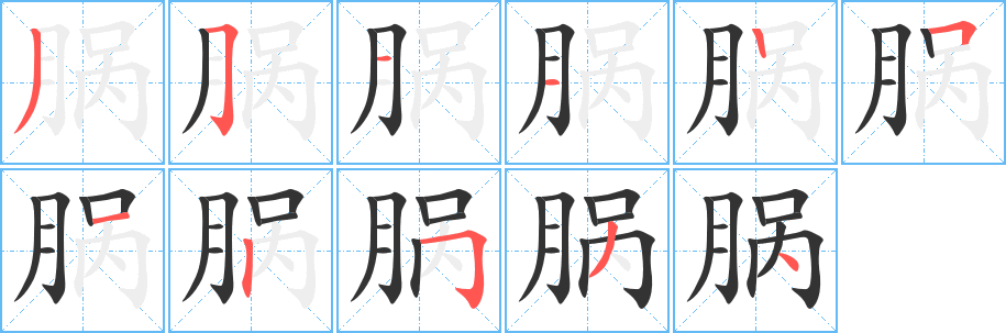 脶字完整笔顺步骤图