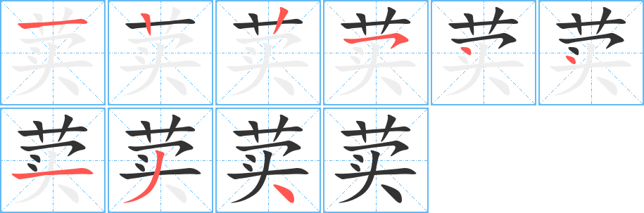 荬字完整笔顺步骤图