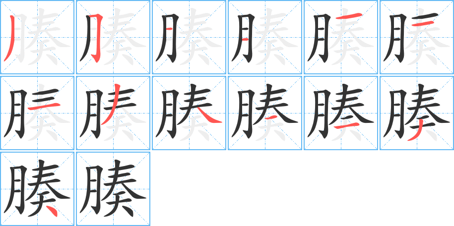 腠字完整笔顺步骤图