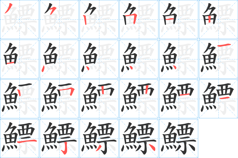 鰾字完整笔顺步骤图