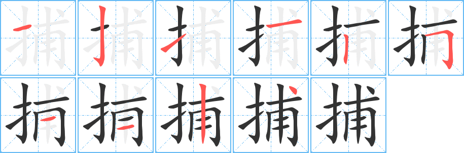 捕字完整笔顺步骤图