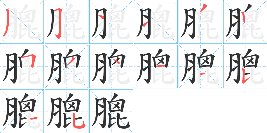 膍字笔顺步骤