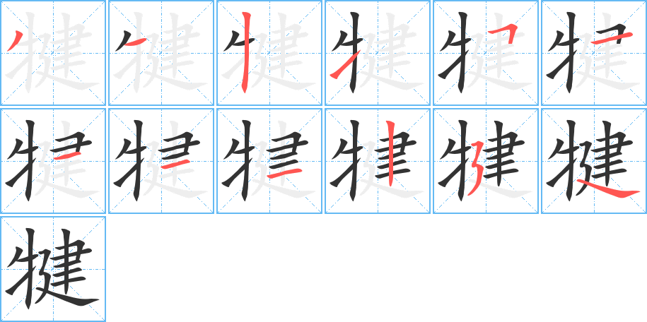 犍字完整笔顺步骤图