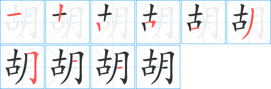 胡字完整笔顺步骤图