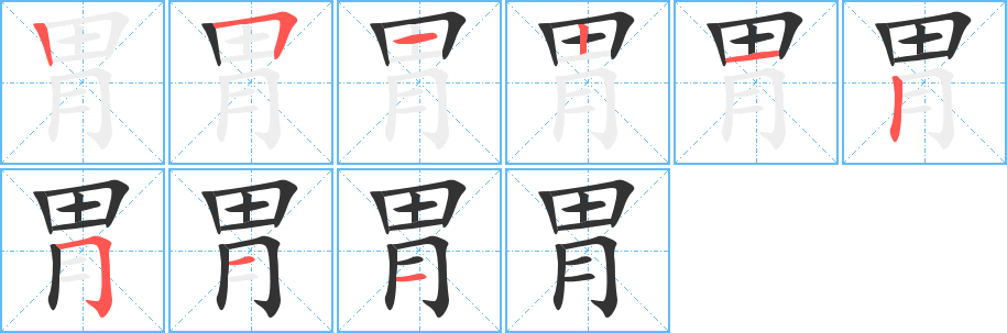 胃字完整笔顺步骤图