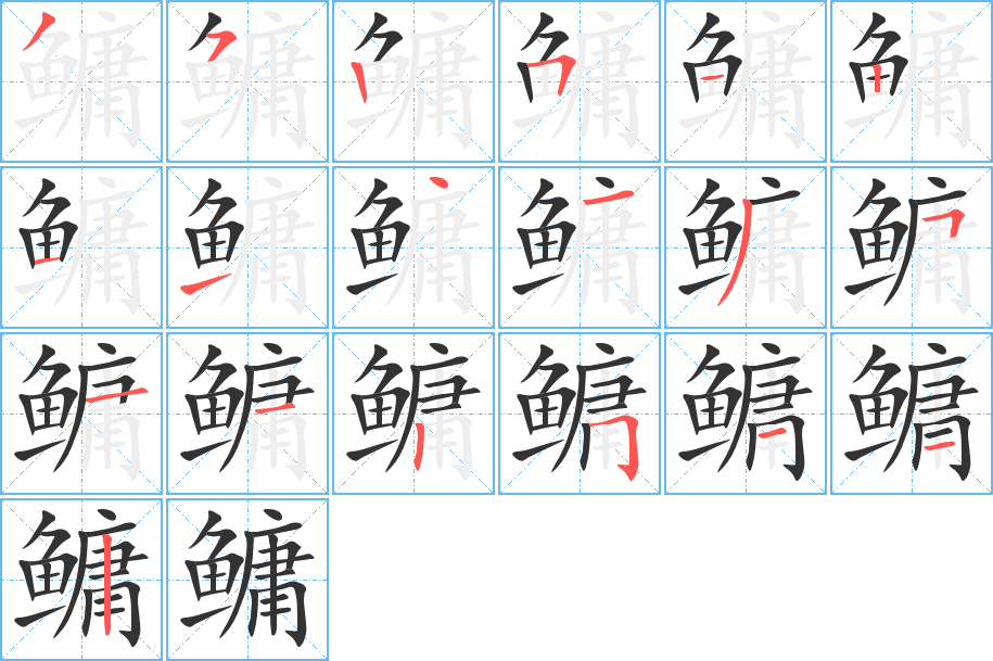 鳙字完整笔顺步骤图