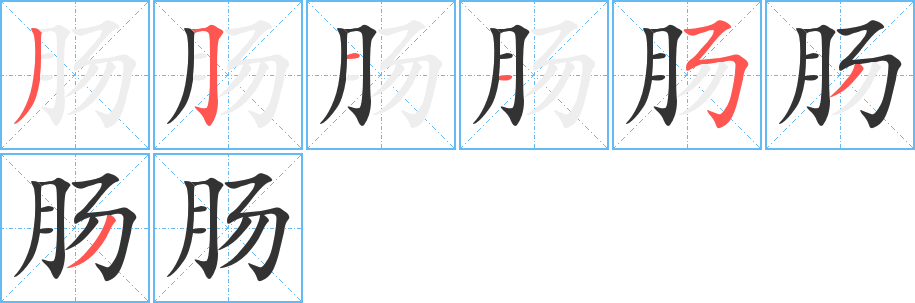 肠字完整笔顺步骤图