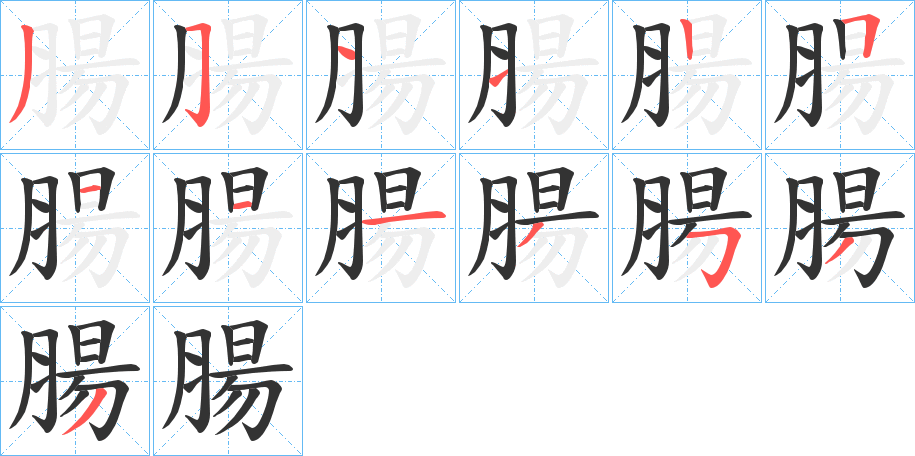 腸字完整笔顺步骤图