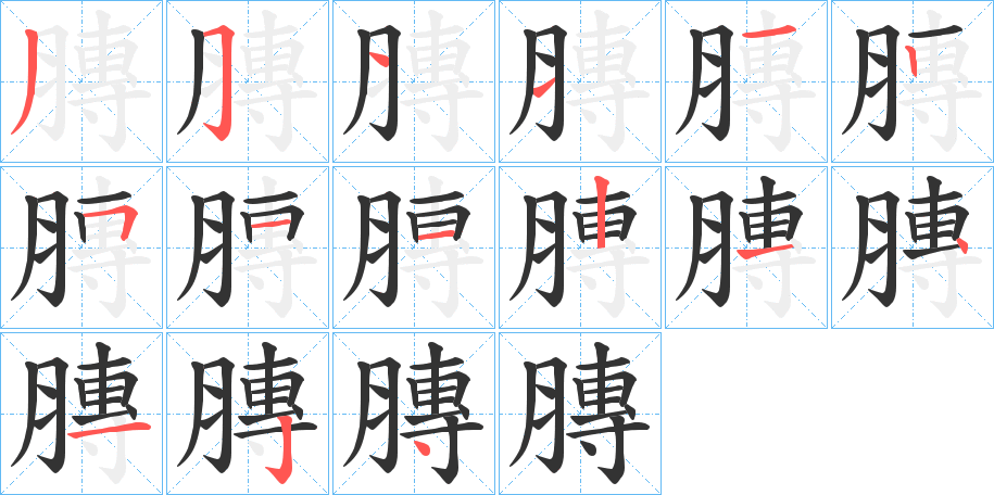 膞字笔顺步骤