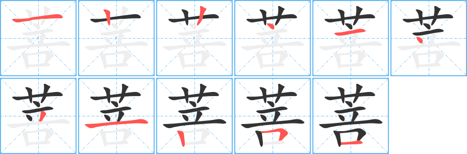 菩字完整笔顺步骤图