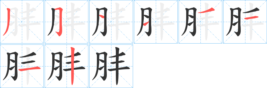 肨字笔顺步骤