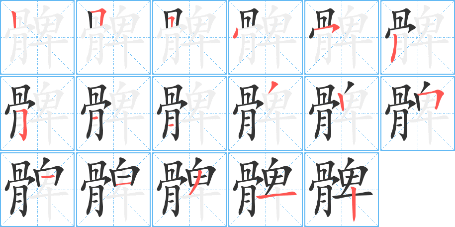 髀字完整笔顺步骤图