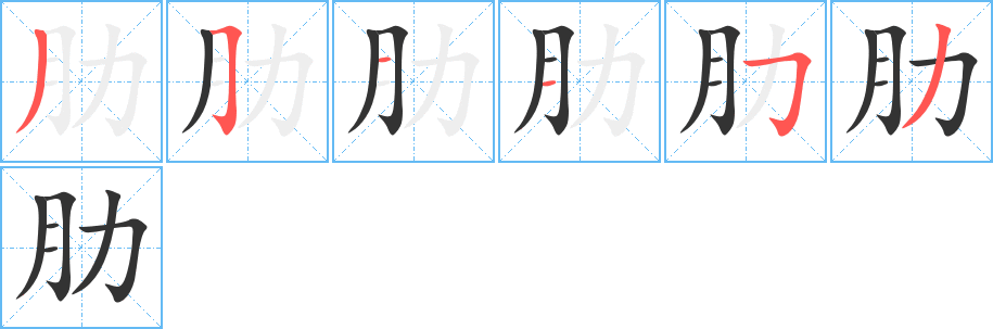 肋字完整笔顺步骤图