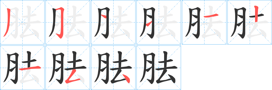 胠字完整笔顺步骤图