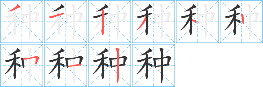 种字完整笔顺步骤图