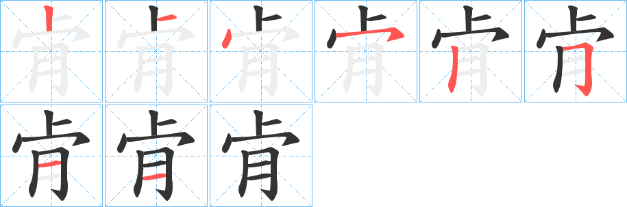 肻字完整笔顺步骤图