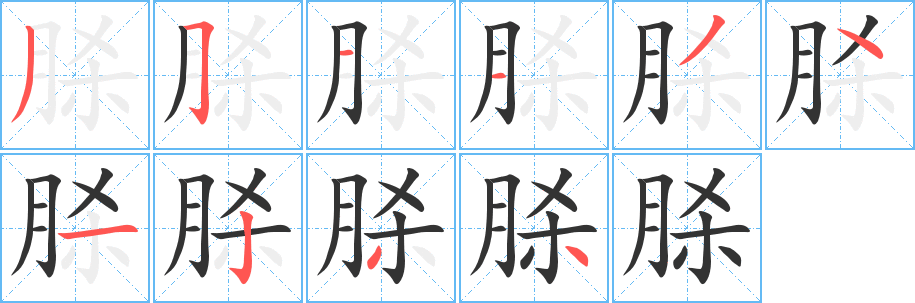 脎字完整笔顺步骤图