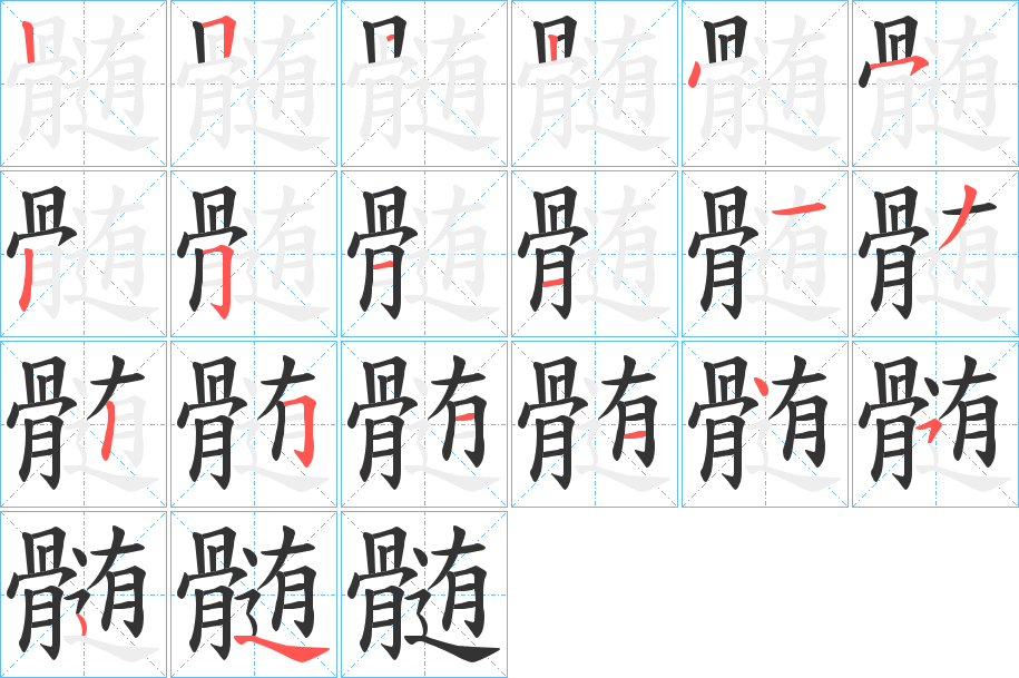 髄字完整笔顺步骤图