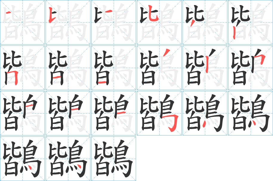 鶛字完整笔顺步骤图