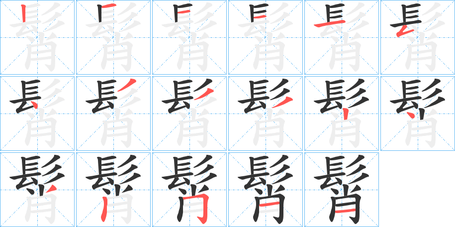 髾字完整笔顺步骤图