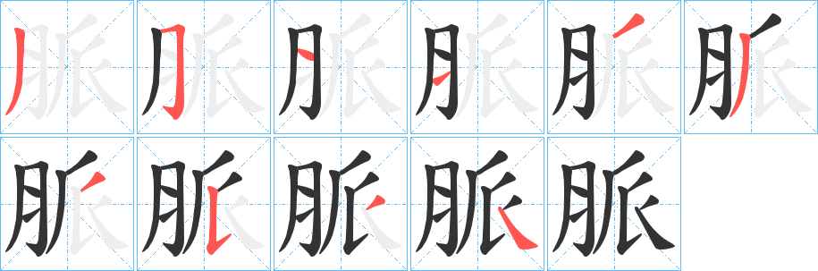 脈字完整笔顺步骤图